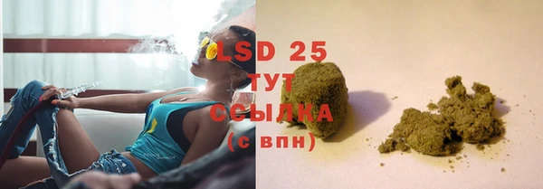 PSILOCYBIN Лагань