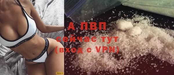 амф Ладушкин