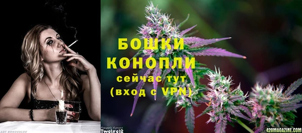 PSILOCYBIN Лагань
