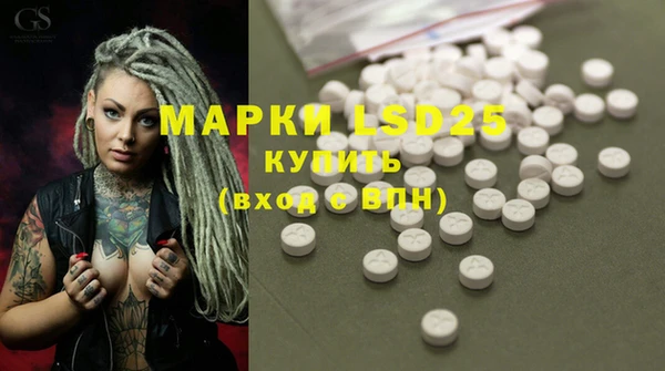 PSILOCYBIN Лагань