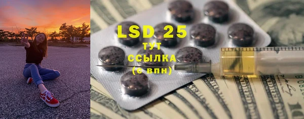 PSILOCYBIN Лагань