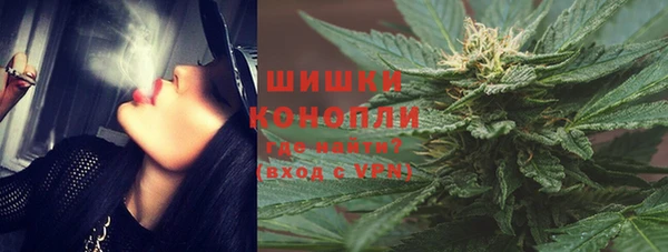 амф Ладушкин