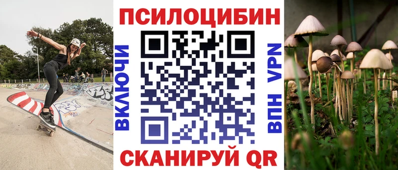 OMG вход  Тихвин  Псилоцибиновые грибы GOLDEN TEACHER 
