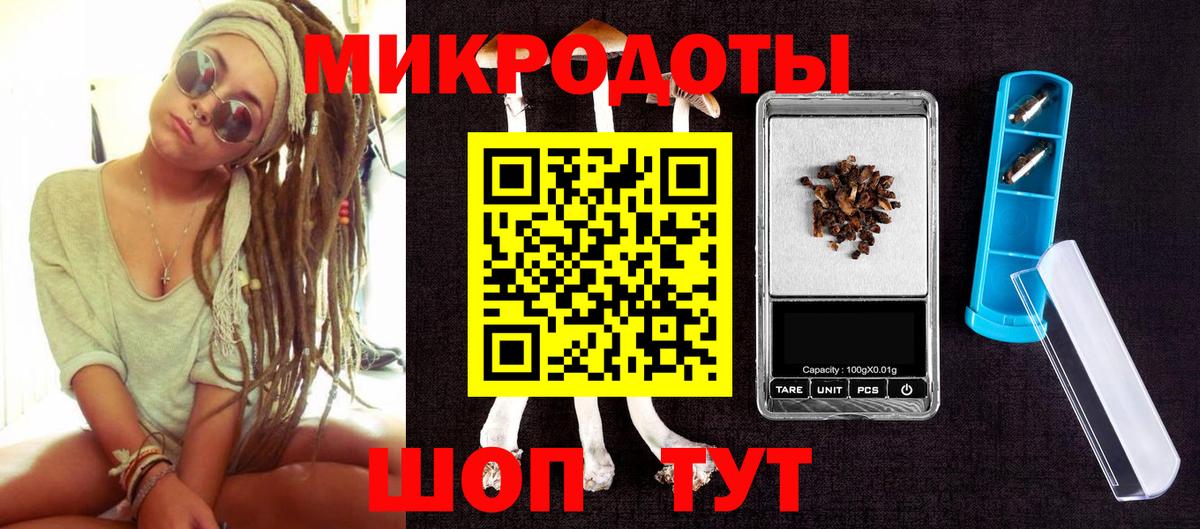Псилоцибиновые грибы Psilocybe Тихвин