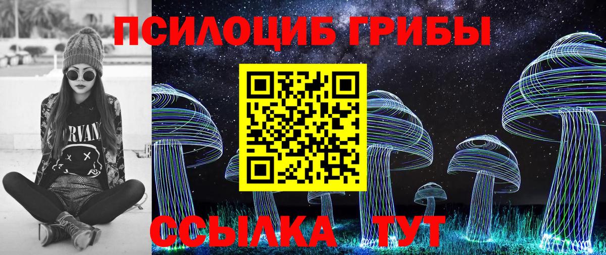 Тихвин  Псилоцибиновые грибы MAGIC MUSHROOMS  наркота  Вход с VPN 